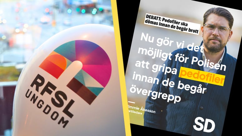 Artikelbild för artikeln: SD-politiker döms för hets mot folkgrupp - kritiserade Pride-flaggan