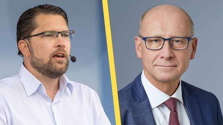 Artikelbild för artikeln: Toppåklagare sågar SD:s nya utvisningslag: "Märklig lagstiftning"