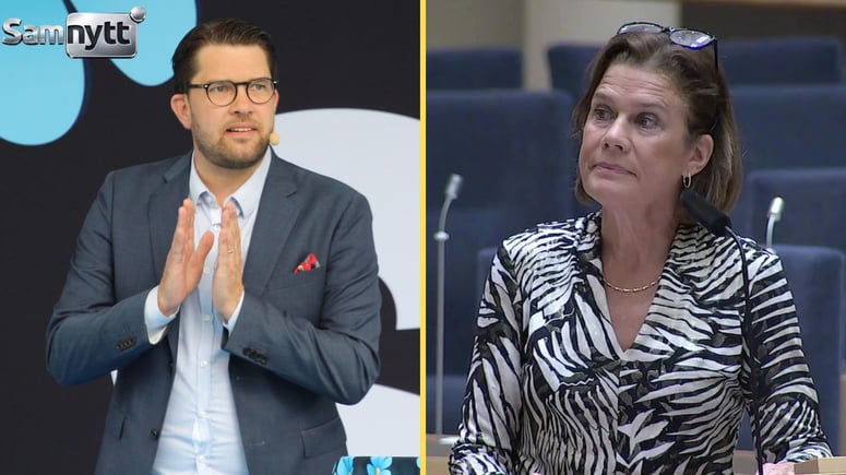 Artikelbild för artikeln: Widding attackerar Åkesson: ”Ljuger så det ryker ur öronen”