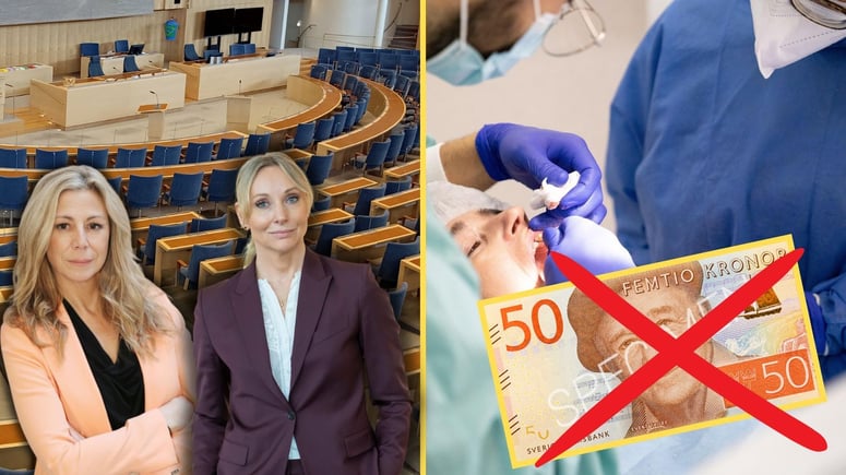 Artikelbild för artikeln: SD: Vi stoppar gratis tandvård för illegala