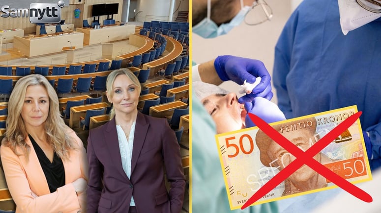 Artikelbild för artikeln: SD: Vi stoppar gratis tandvård för illegala