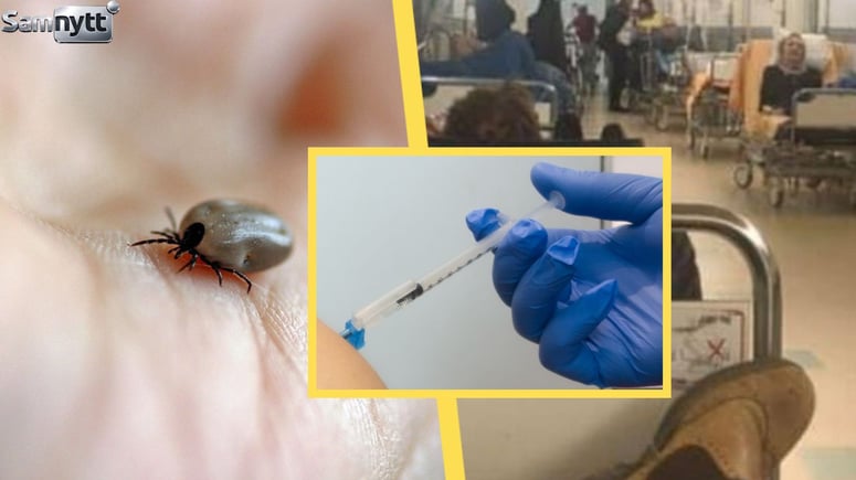 Artikelbild för artikeln: Frisk tvåbarnspappa fullvaccinerad mot TBE - dog efter fästingbett