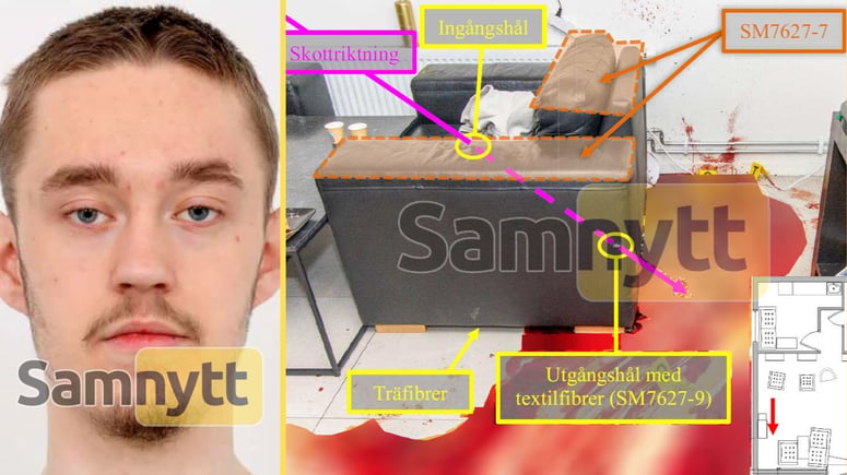 Artikelbild för artikeln: Han döms för trippelmordet i Uppsala
