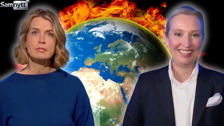 Artikelbild för artikeln: VIDEO: Här krossar AFD-ledaren journalist om "klimatkrisen"
