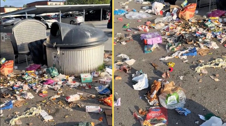 Artikelbild för artikeln: Virala videon: "Det här är inte Somalia - det är fucking Sverige"