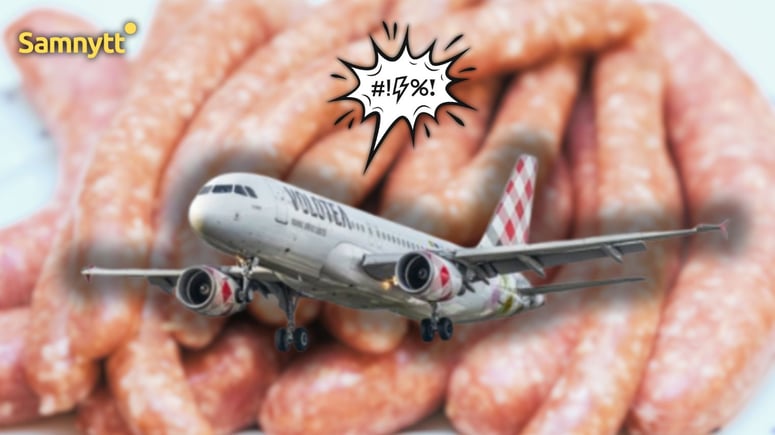 Artikelbild för artikeln: Halalskandal i luften - utvisade migranter serverades fläsk