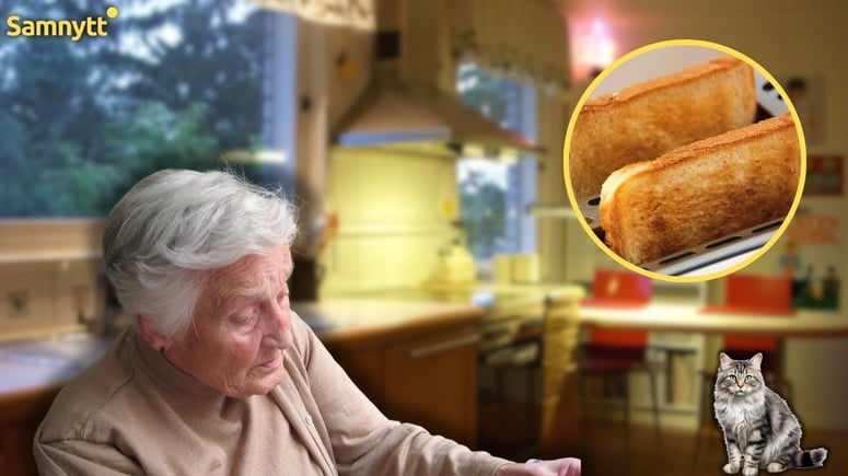Artikelbild för artikeln: Forskare: Singelhushåll förstör klimatet