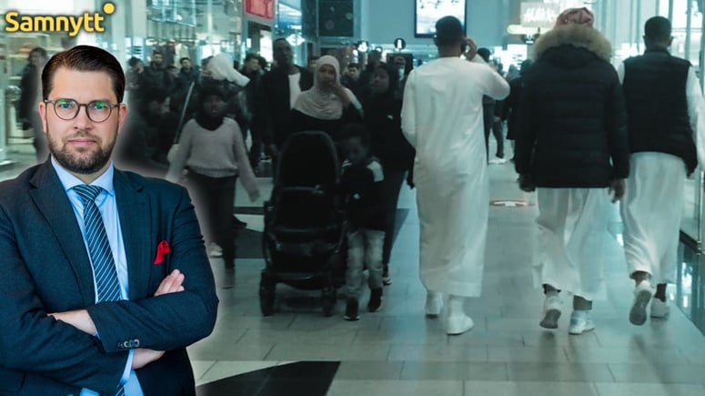 Artikelbild för artikeln: Åkessons besked om invandringen: "Finns inte mycket mer att göra"