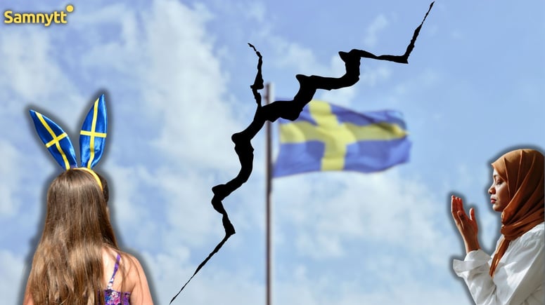 Artikelbild för artikeln: Forskaren: Migration och kultur Europas största problem - inte lågt barnafödande