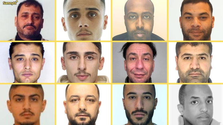Artikelbild för artikeln: Här är "svenskarna" som Interpol jagar