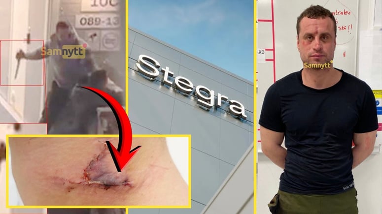 Artikelbild för artikeln: Så blev straffet för "gröna" arbetskraftsinvandraren som försökte mörda på Stegras boende