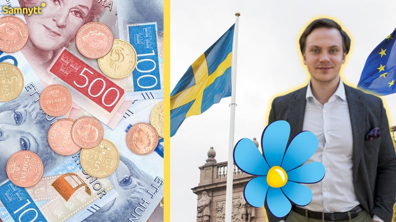 Artikelbild för artikeln: SD: Inrätta en "effektiviseringsminister" - ska stoppa skatteslöseriet