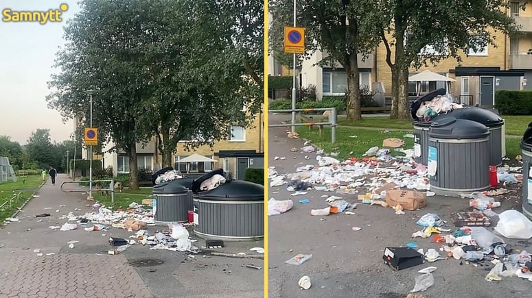 Artikelbild för artikeln: Nytt sopkaos i mångkulturellt område: "Era giriga grisar"
