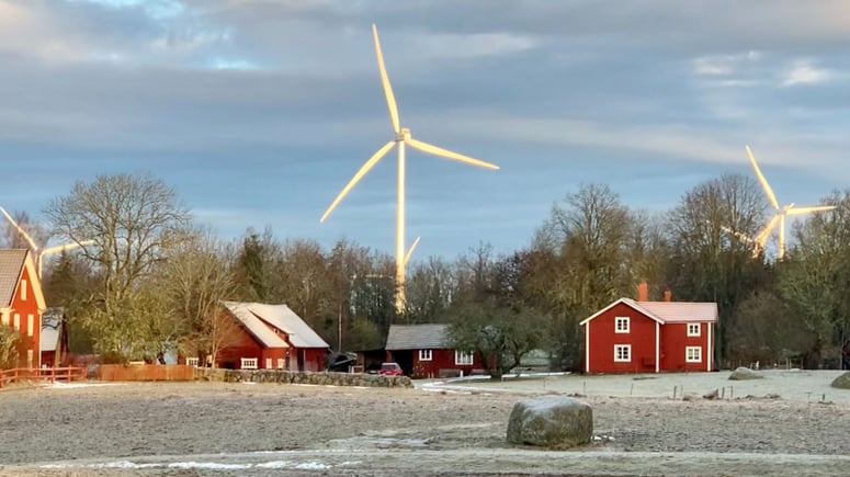 Artikelbild för artikeln: Per får "fem Eiffeltorn" bredvid sin tomt: "Går inte att värdera det här livet i pengar"