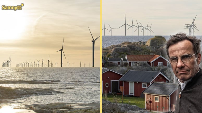 Artikelbild för artikeln: Yrkesfiskare rasar när regeringen godkänner ny vindkraft