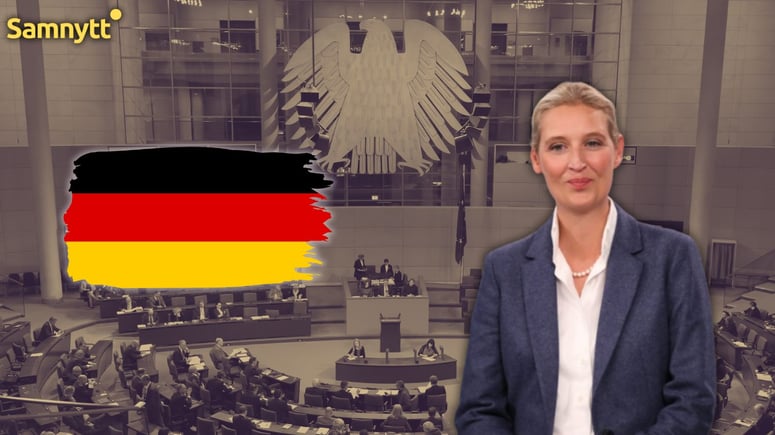 Artikelbild för artikeln: Alice Weidel: AfD ska ta makten – här är reformerna partiledaren vill genomföra