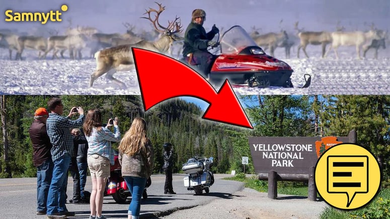 Artikelbild för artikeln: Avveckla rennäringen – utveckla fjällturismen