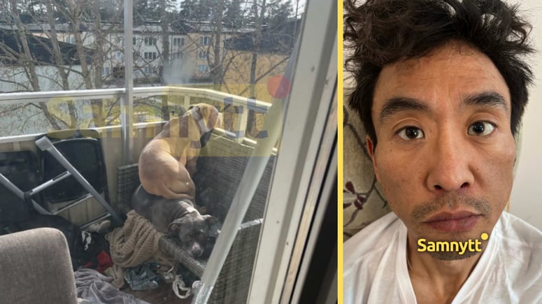 Artikelbild för artikeln: Tsogbayar försökte slänga sonen från balkongen och lät hundarna bita honom - UTVISAS