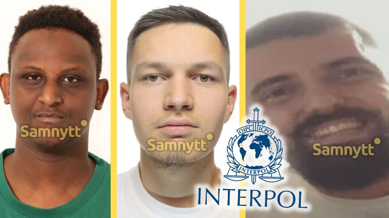 Artikelbild för artikeln: Interpol efterlyser fler "svenskar"