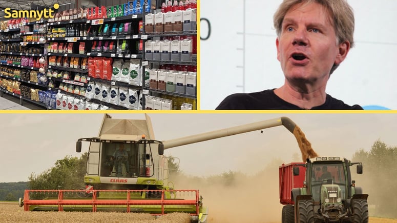 Artikelbild för artikeln: Forskare: Klimathotet mot världens livsmedel överdrivs