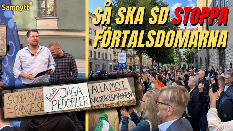 Artikelbild för artikeln: VIDEO: Så ska SD stoppa förtalsdomar när pedofiler känner sig "kränkta"