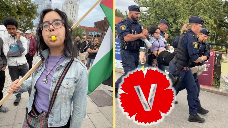 Artikelbild för artikeln: VIDEO: V-politiker vill mörda SD-sympatisörer: "Man dödar dem"