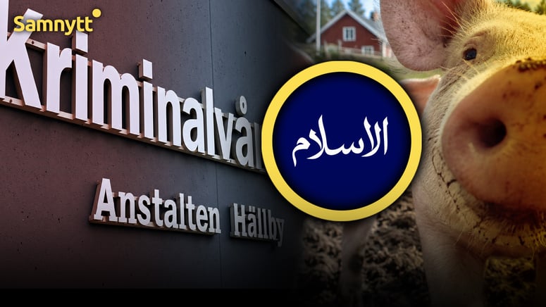 Artikelbild för artikeln: Griskött försvann från Hällbyanstalten: ”Nästan ingen” äter det