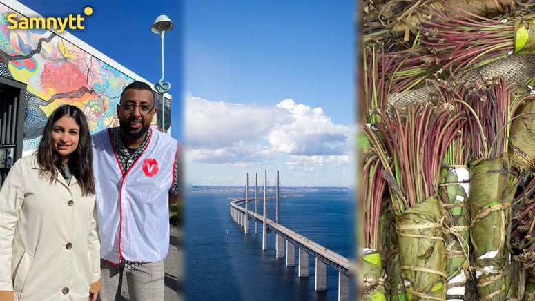 Artikelbild för artikeln: Dömd knarksmugglare från Somalia kan sitta i riksdagen för V