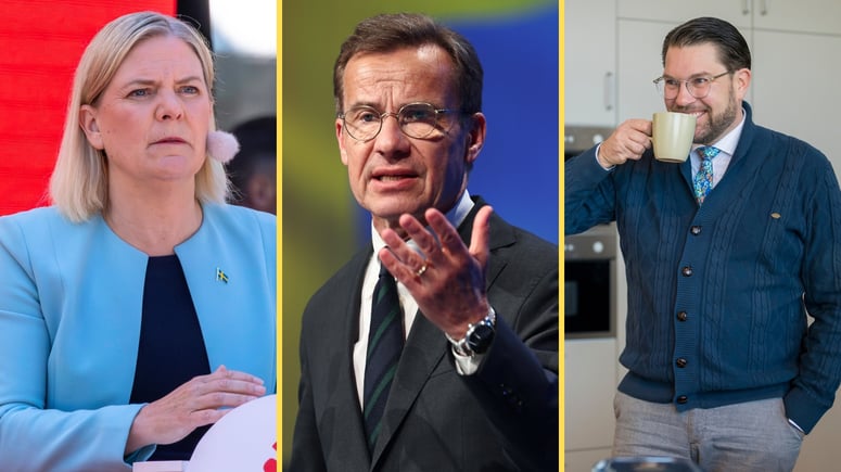 Artikelbild för artikeln: Åkesson: SD i regering - eller i opposition